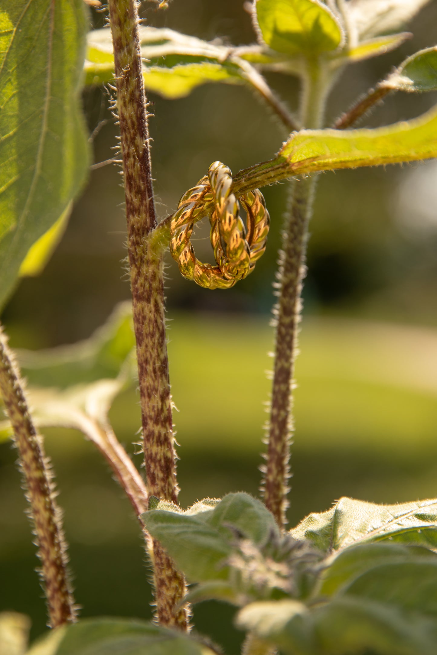 Orecchini In acciaio dorato - Intreccio di eleganza e resistenza