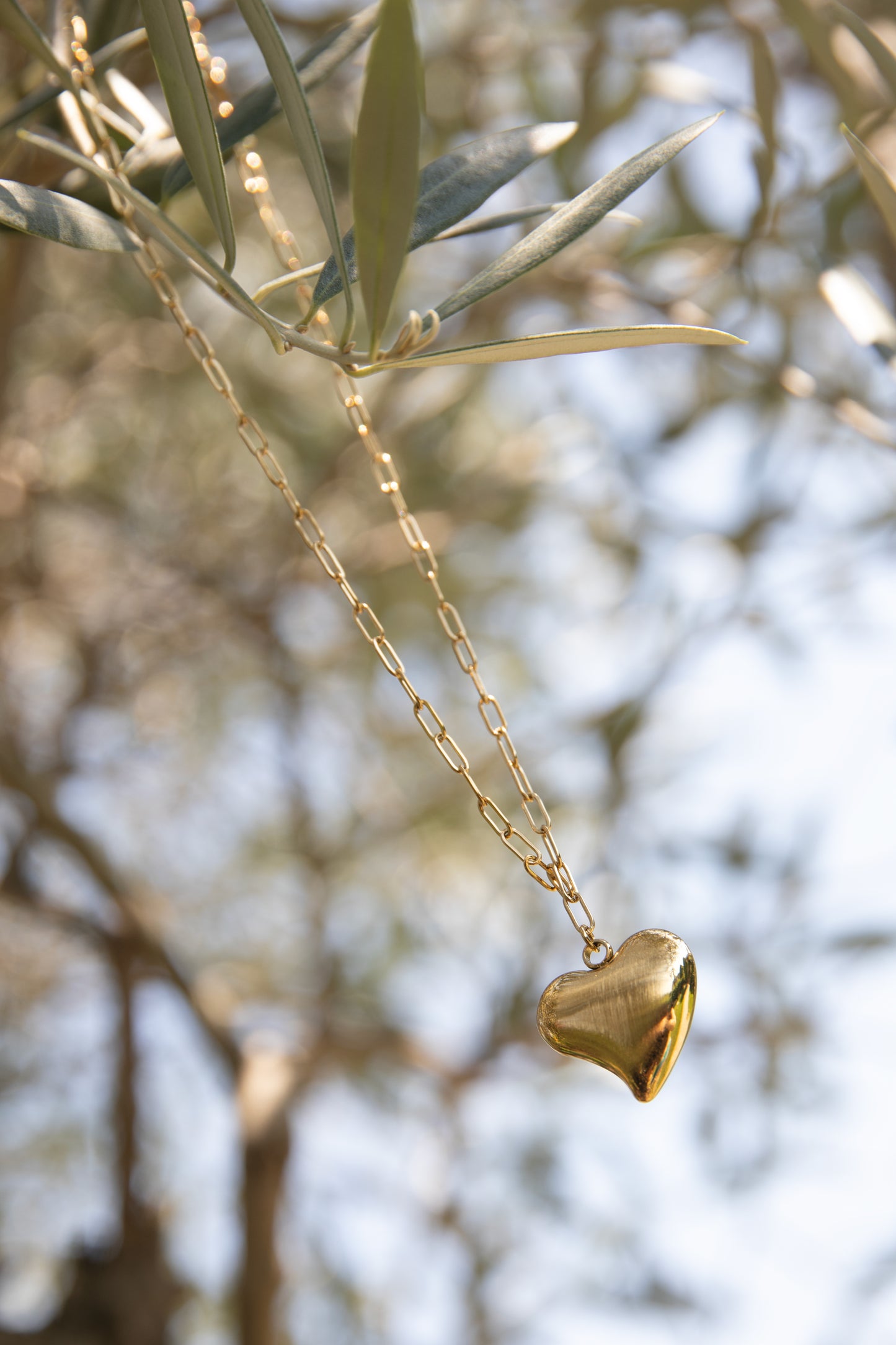 Collana a cuore con catena