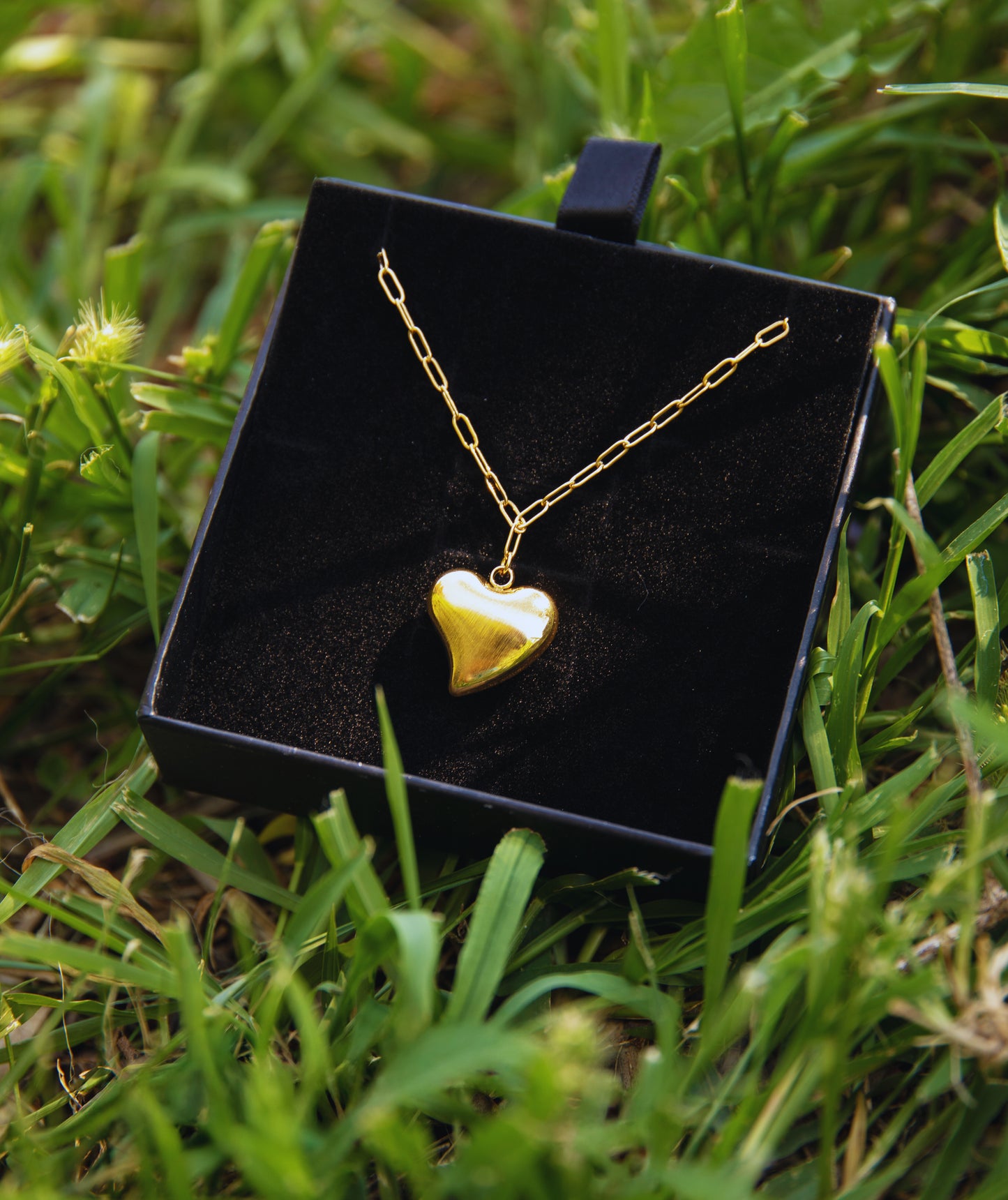 Collana a cuore con catena